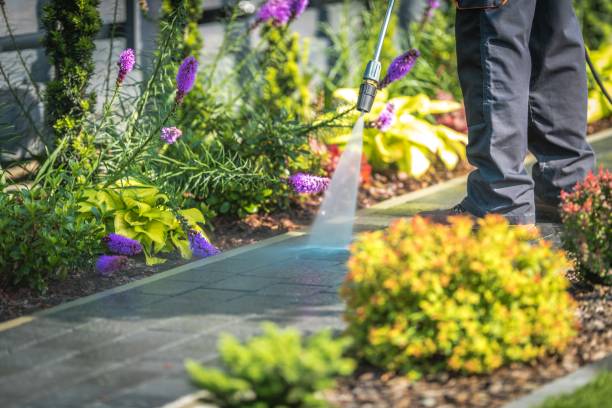 Best Animal Enclosure Cleaning  in Gloversville, NY